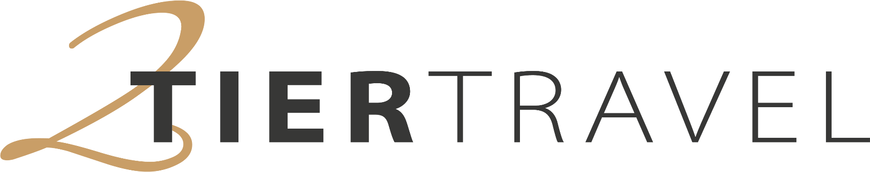 2Tier Travel logo
